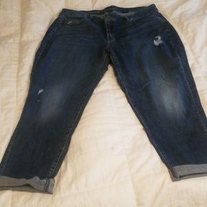 Lane Bryant 18R straight crop jeans